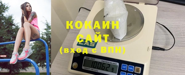 спиды Богданович